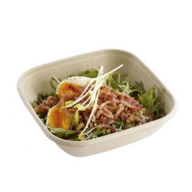 Misky z Cukrové Třtiny 750ml 170x170x50mm (300 Kousky)